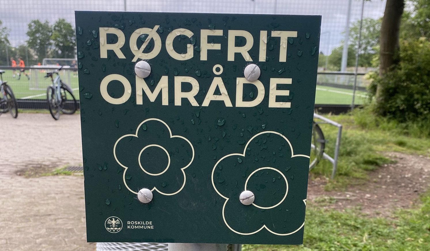 roegfritlille.jpg